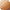 Colorescience Sunforgettable® Total Protection® Face Shield Flex FPS 50